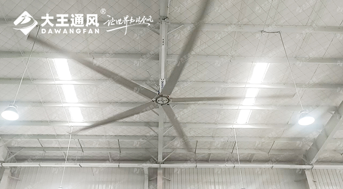 大王通風(fēng)攜手維通利電氣：告別炎熱困擾，釋放清涼一夏！