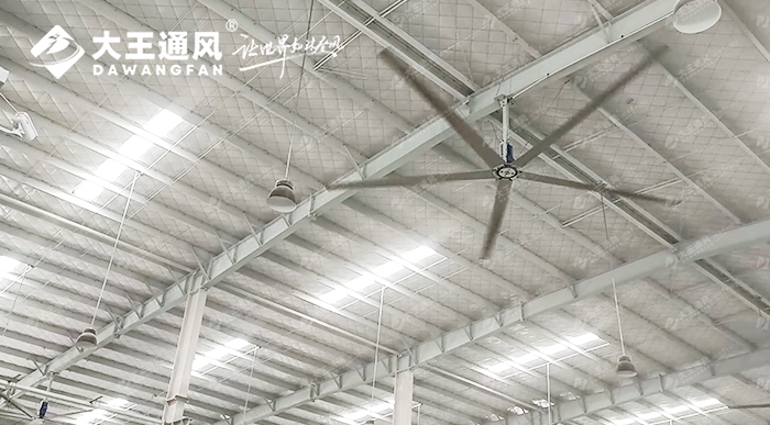 大王通風(fēng)攜手維通利電氣：告別炎熱困擾，釋放清涼一夏！